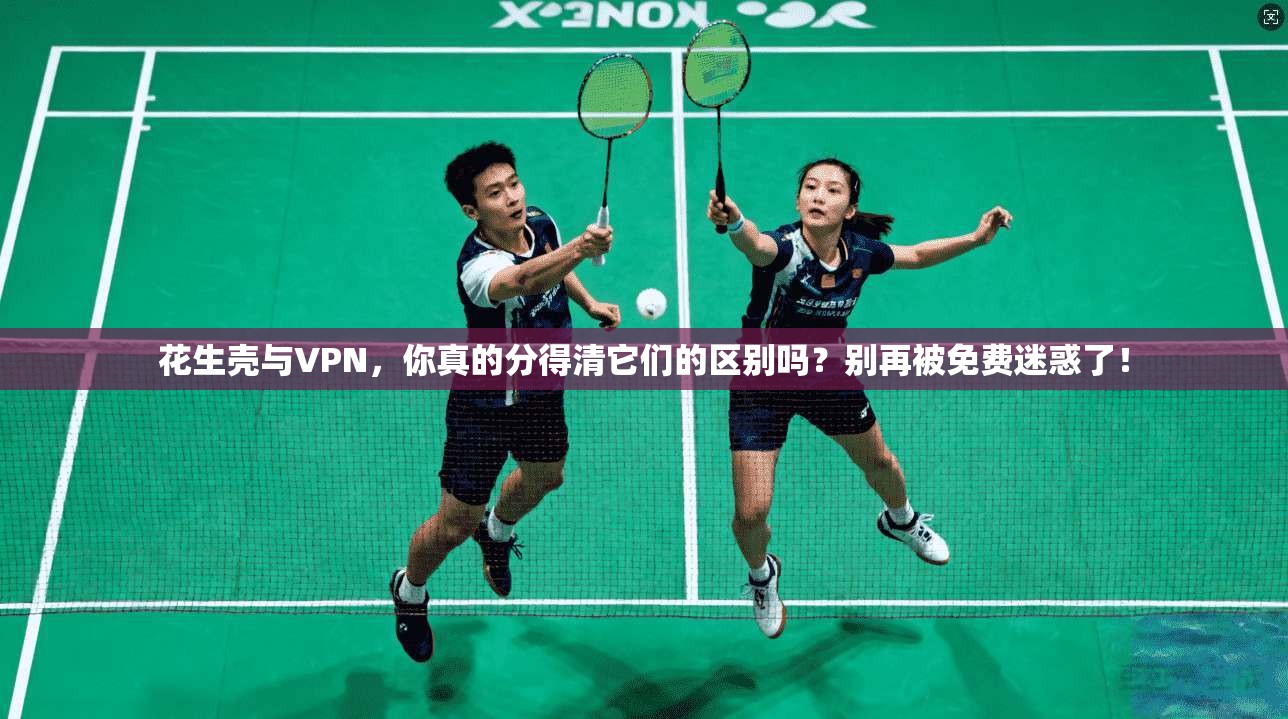 花生壳与VPN,你真的分得清它们的区别吗?别再被免费迷惑了!