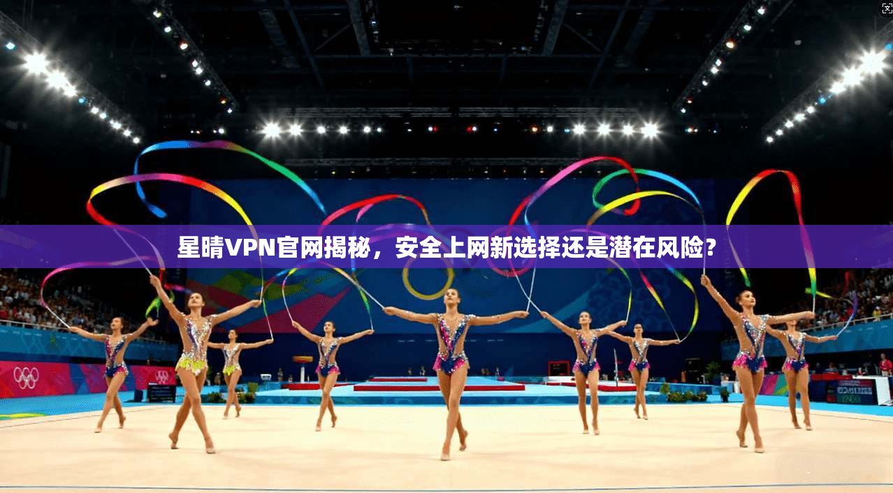 星晴VPN官网揭秘,安全上网新选择还是潜在风险?