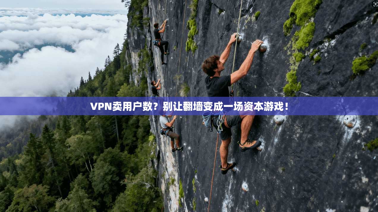 VPN卖用户数？别让翻墙变成一场资本游戏！