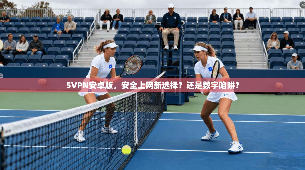 5VPN安卓版，安全上网新选择？还是数字陷阱？