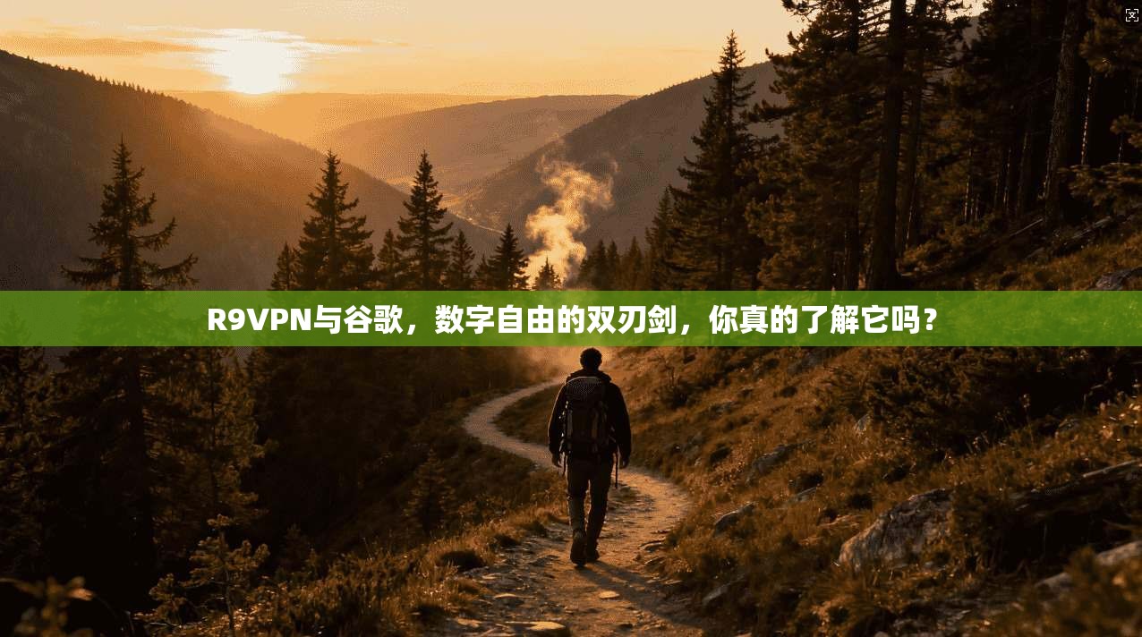 R9VPN与谷歌，数字自由的双刃剑，你真的了解它吗？