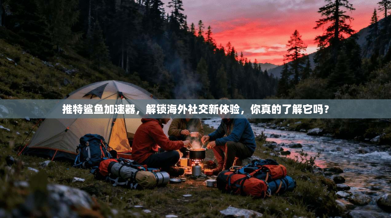 推特鲨鱼加速器，解锁海外社交新体验，你真的了解它吗？