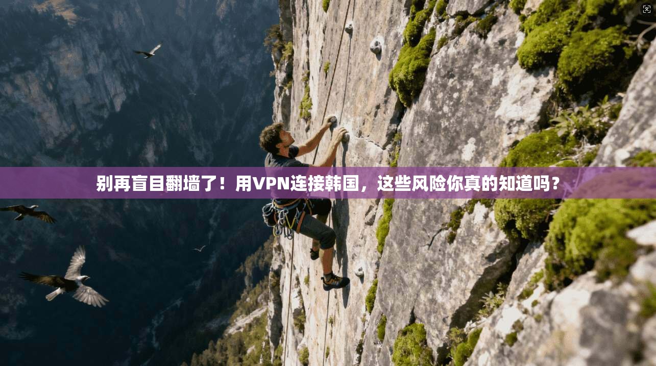 别再盲目翻墙了！用VPN连接韩国，这些风险你真的知道吗？