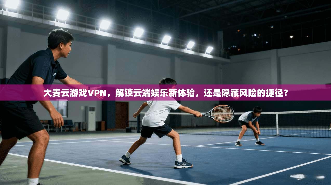 大麦云游戏VPN,解锁云端娱乐新体验,还是隐藏风险的捷径?
