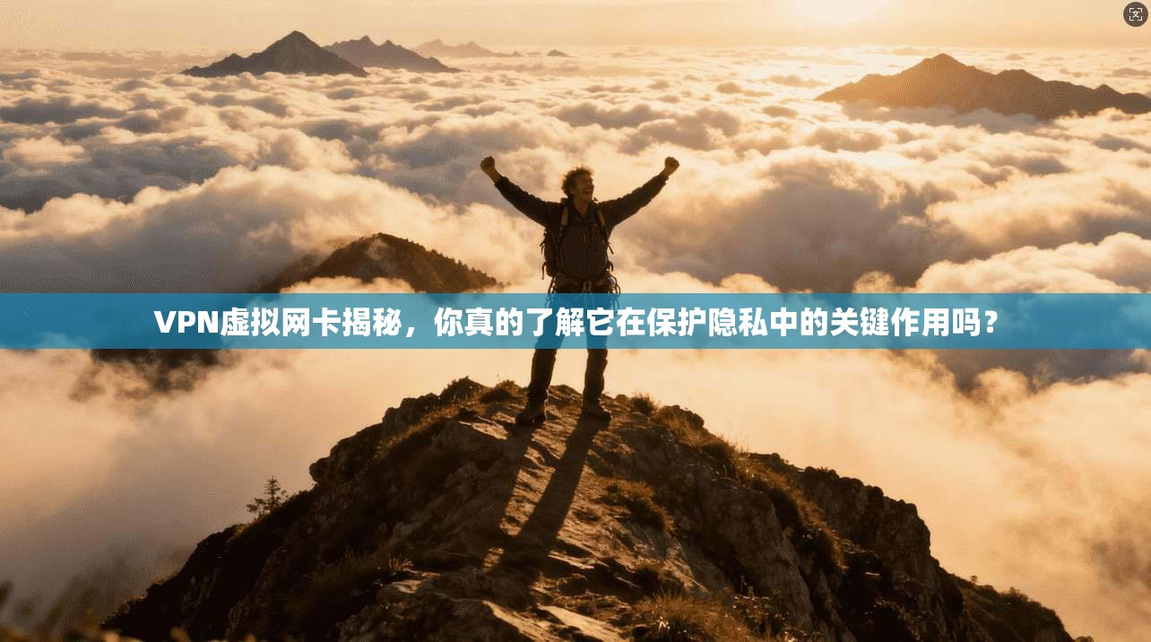 VPN虚拟网卡揭秘，你真的了解它在保护隐私中的关键作用吗？