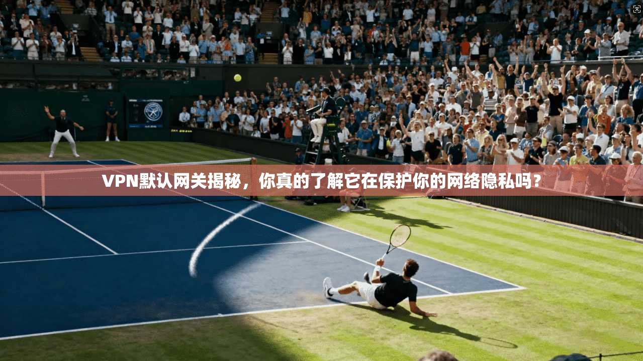 VPN默认网关揭秘，你真的了解它在保护你的网络隐私吗？