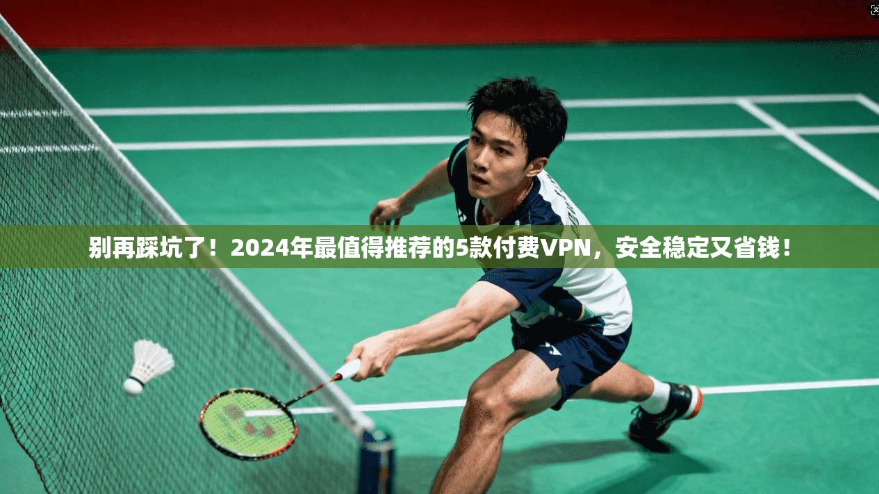 别再踩坑了！2024年最值得推荐的5款付费VPN，安全稳定又省钱！