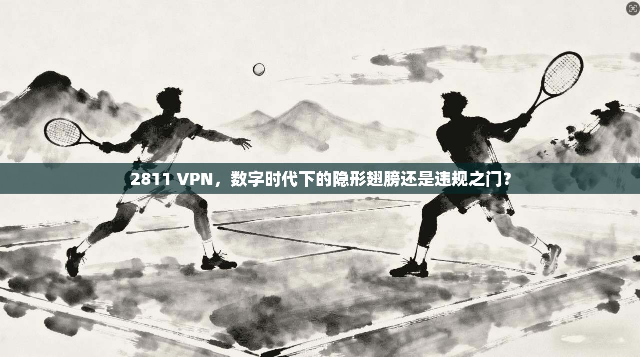 2811 VPN，数字时代下的隐形翅膀还是违规之门？