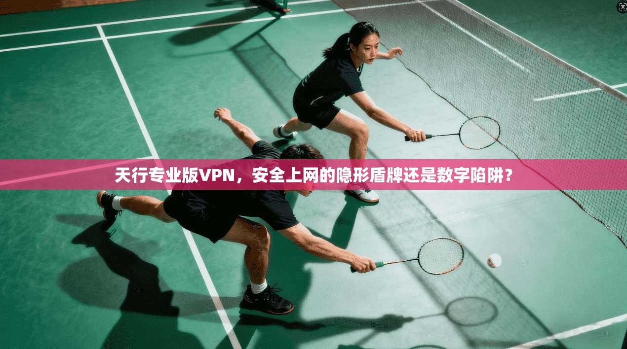 天行专业版VPN，安全上网的隐形盾牌还是数字陷阱？
