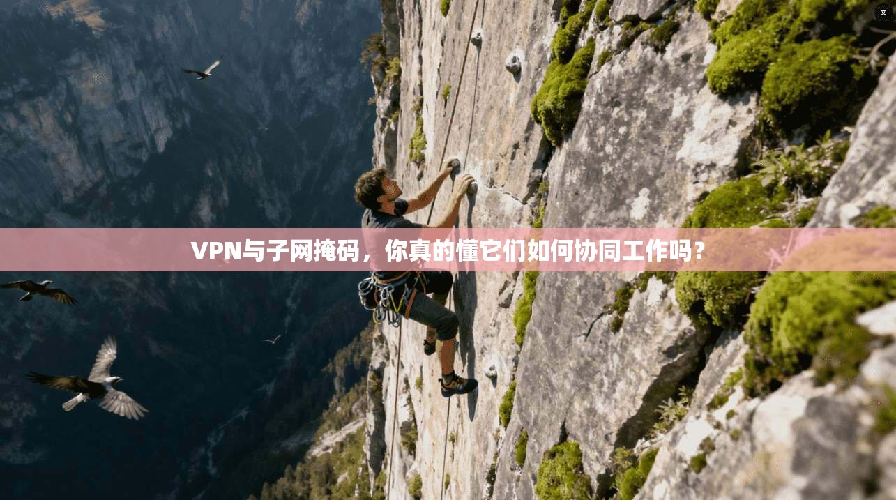 VPN与子网掩码，你真的懂它们如何协同工作吗？