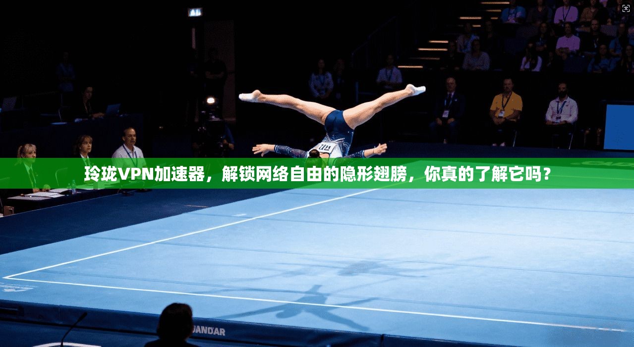 玲珑VPN加速器，解锁网络自由的隐形翅膀，你真的了解它吗？