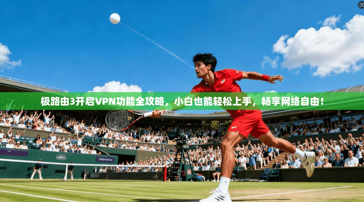 极路由3开启VPN功能全攻略，小白也能轻松上手，畅享网络自由！