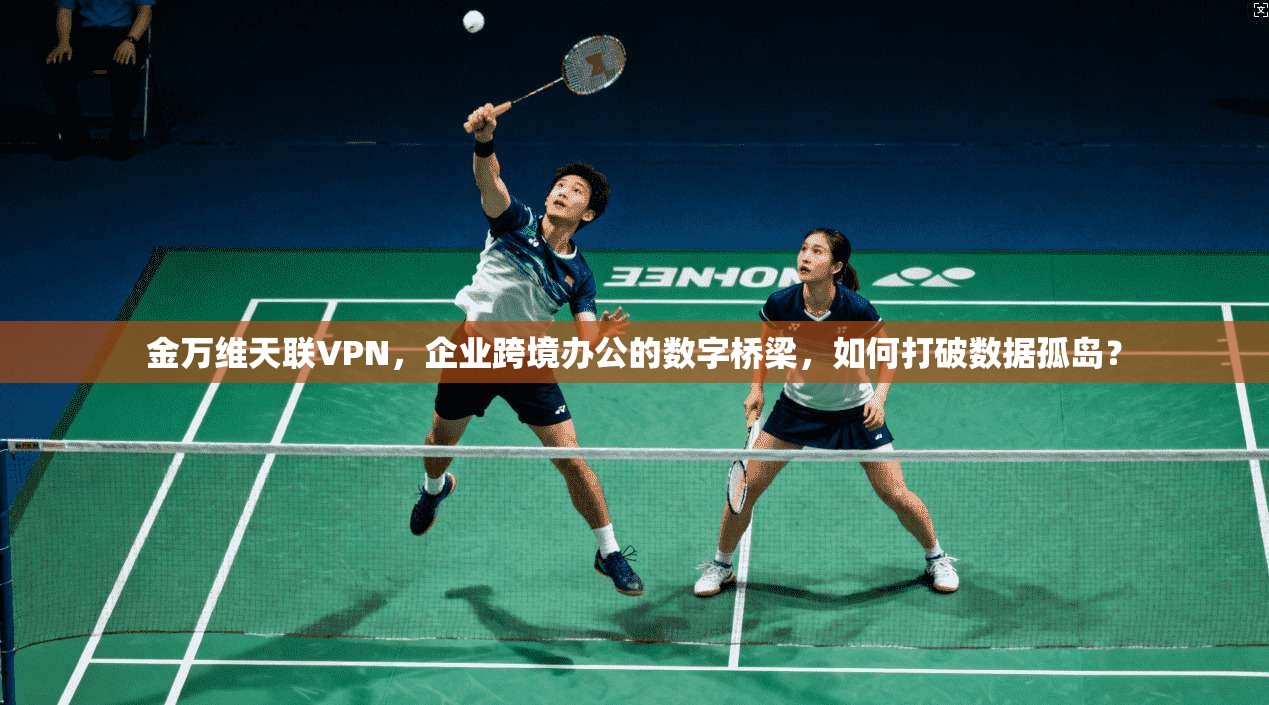 金万维天联VPN，企业跨境办公的数字桥梁，如何打破数据孤岛？