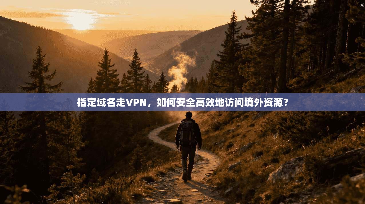 指定域名走VPN，如何安全高效地访问境外资源？