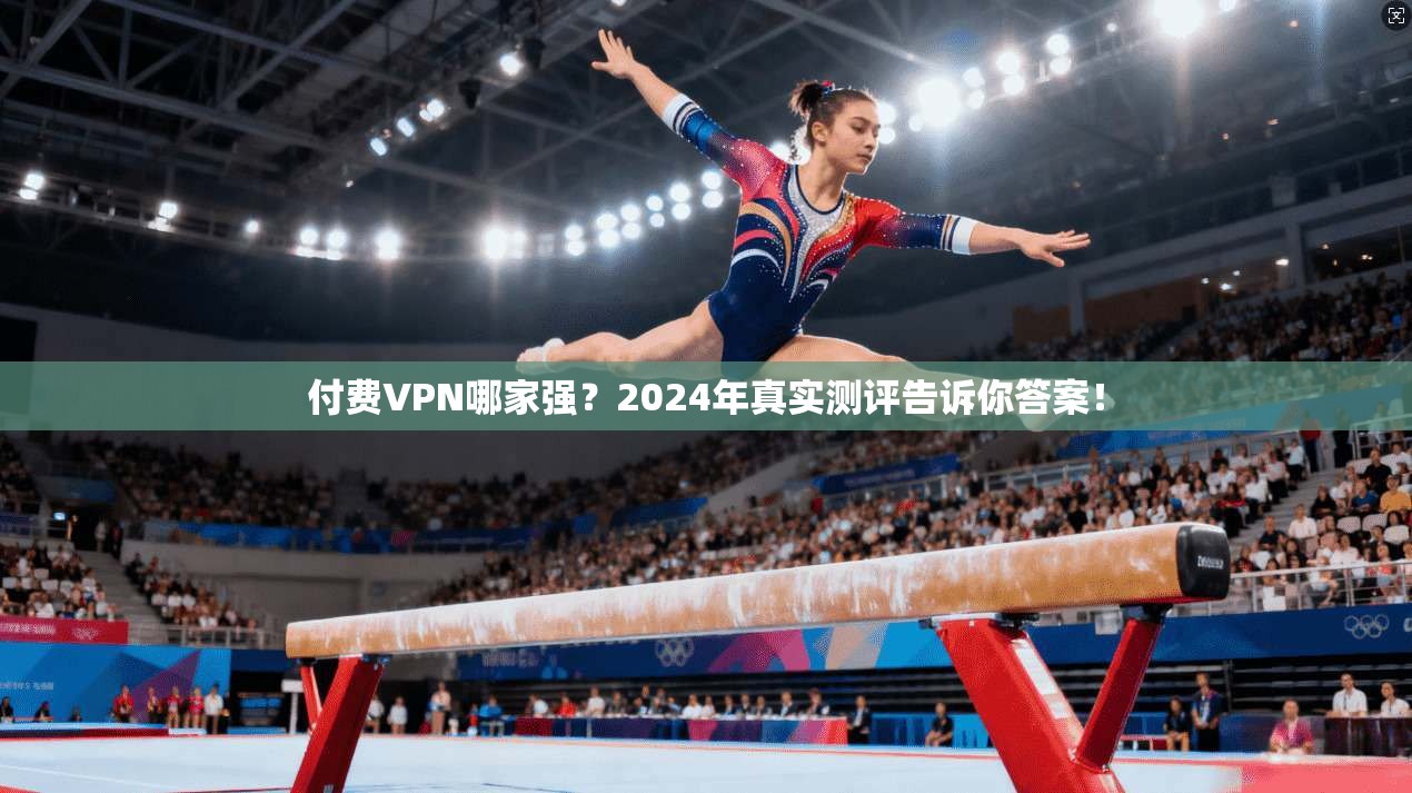 付费VPN哪家强?2024年真实测评告诉你答案!