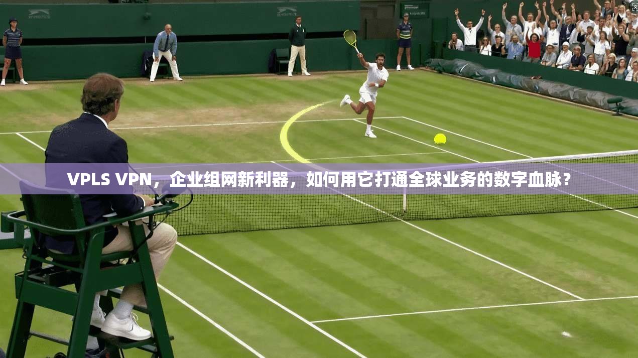 VPLS VPN，企业组网新利器，如何用它打通全球业务的数字血脉？