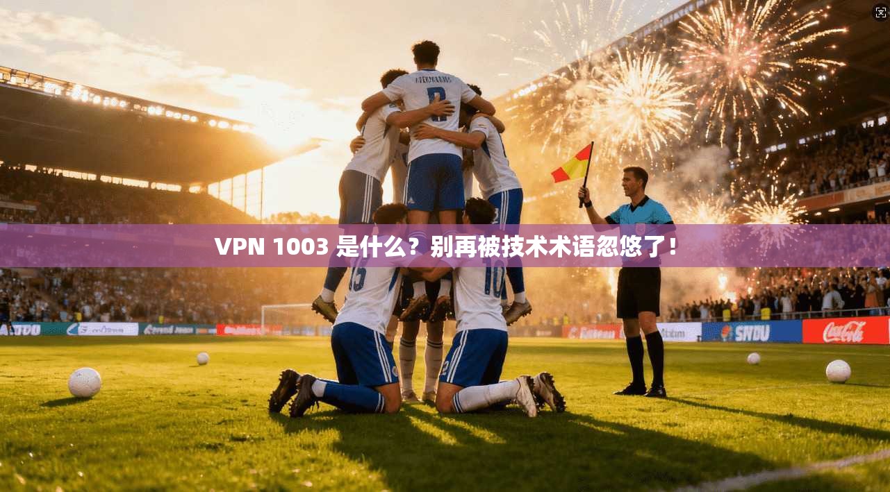 VPN 1003 是什么？别再被技术术语忽悠了！