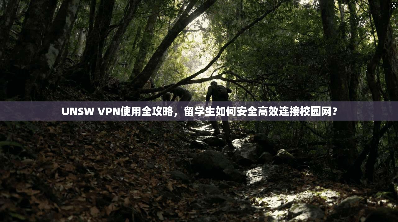 UNSW VPN使用全攻略，留学生如何安全高效连接校园网？