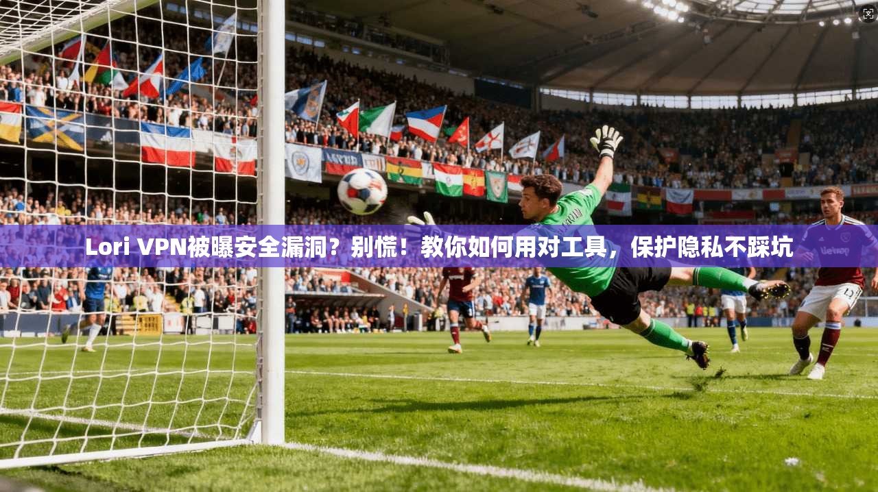 Lori VPN被曝安全漏洞?别慌!教你如何用对工具,保护隐私不踩坑