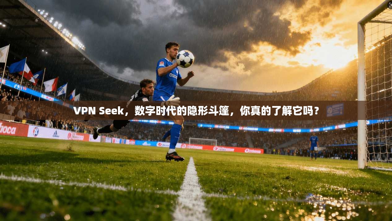 VPN Seek,数字时代的隐形斗篷,你真的了解它吗?