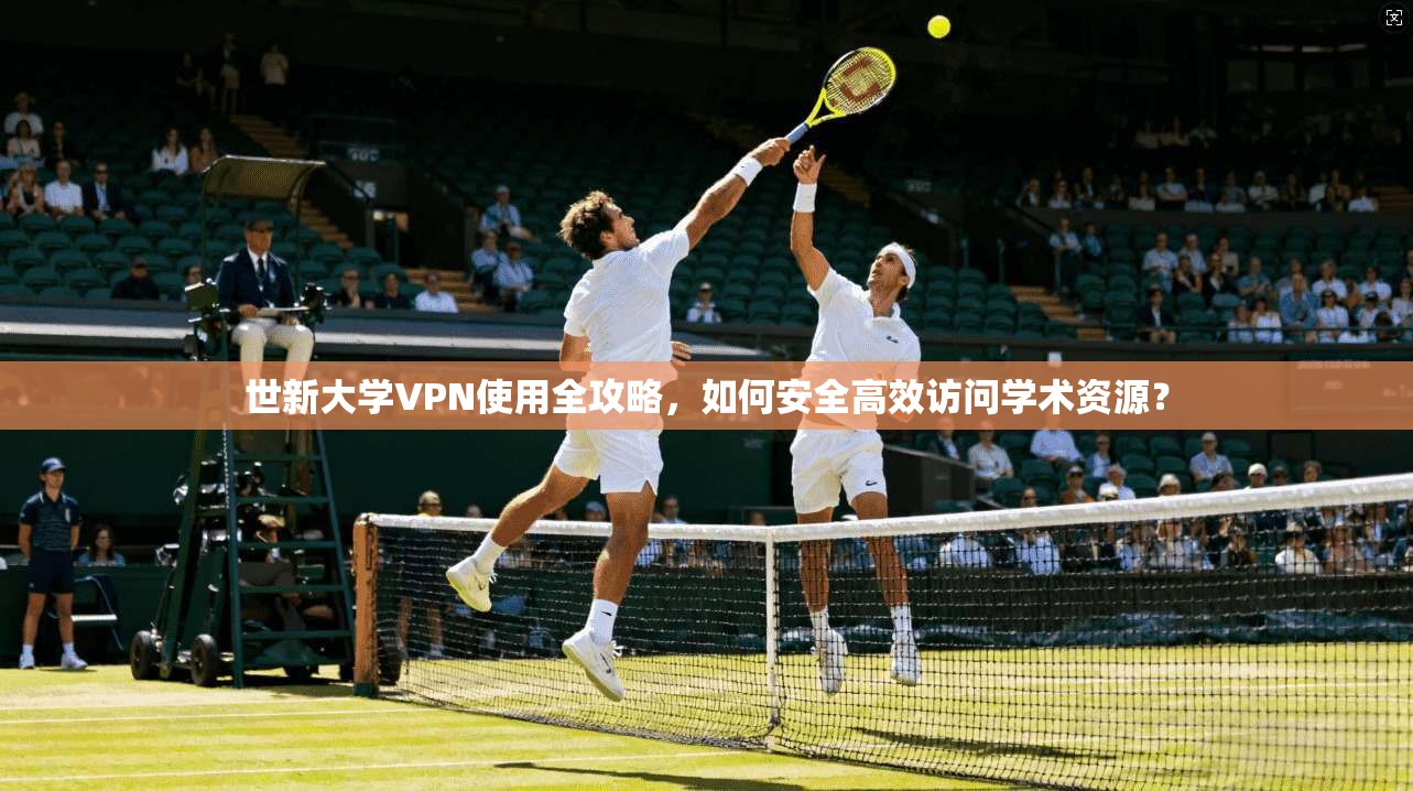 世新大学VPN使用全攻略,如何安全高效访问学术资源?