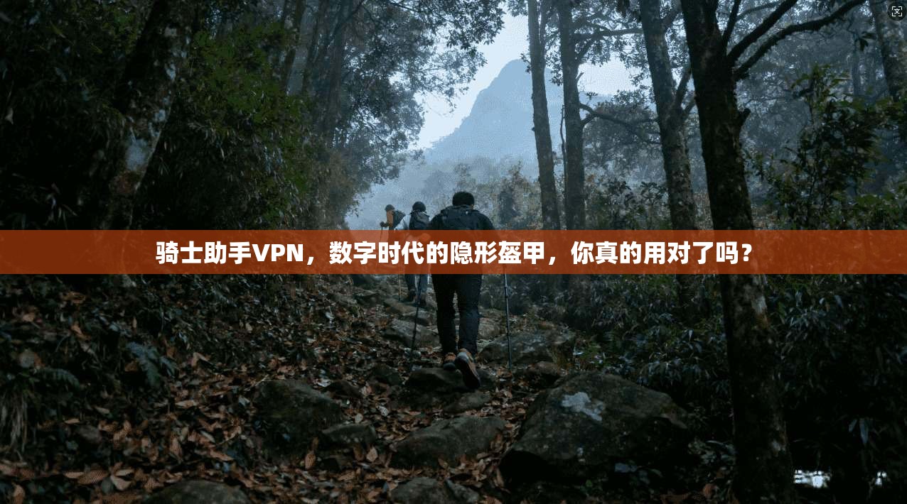 骑士助手VPN，数字时代的隐形盔甲，你真的用对了吗？