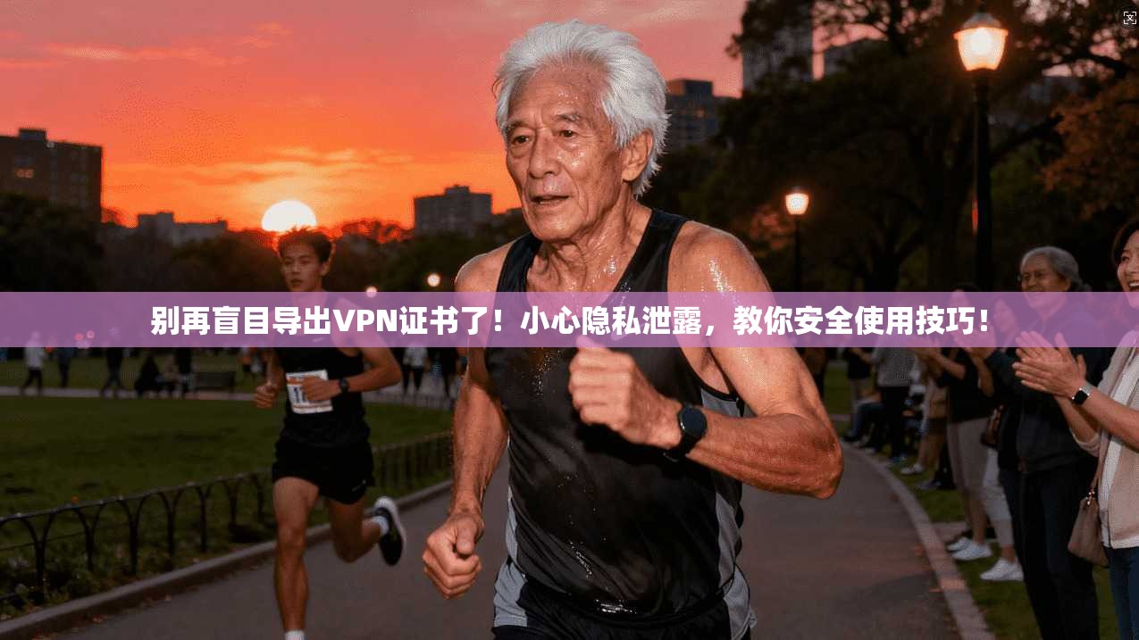 别再盲目导出VPN证书了!小心隐私泄露,教你安全使用技巧!