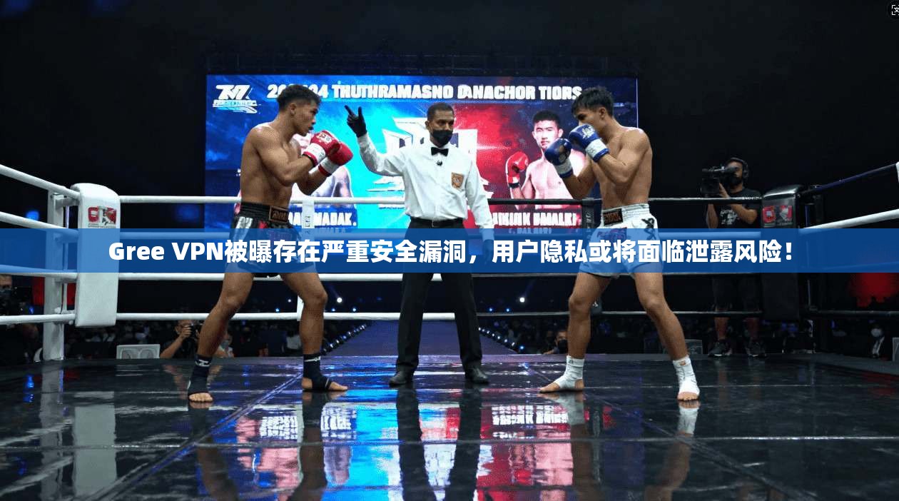 Gree VPN被曝存在严重安全漏洞,用户隐私或将面临泄露风险!