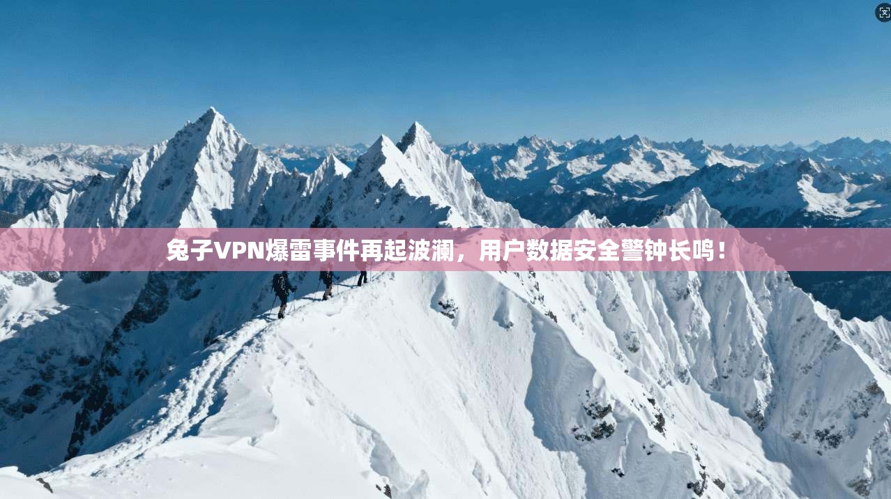 兔子VPN爆雷事件再起波澜,用户数据安全警钟长鸣!