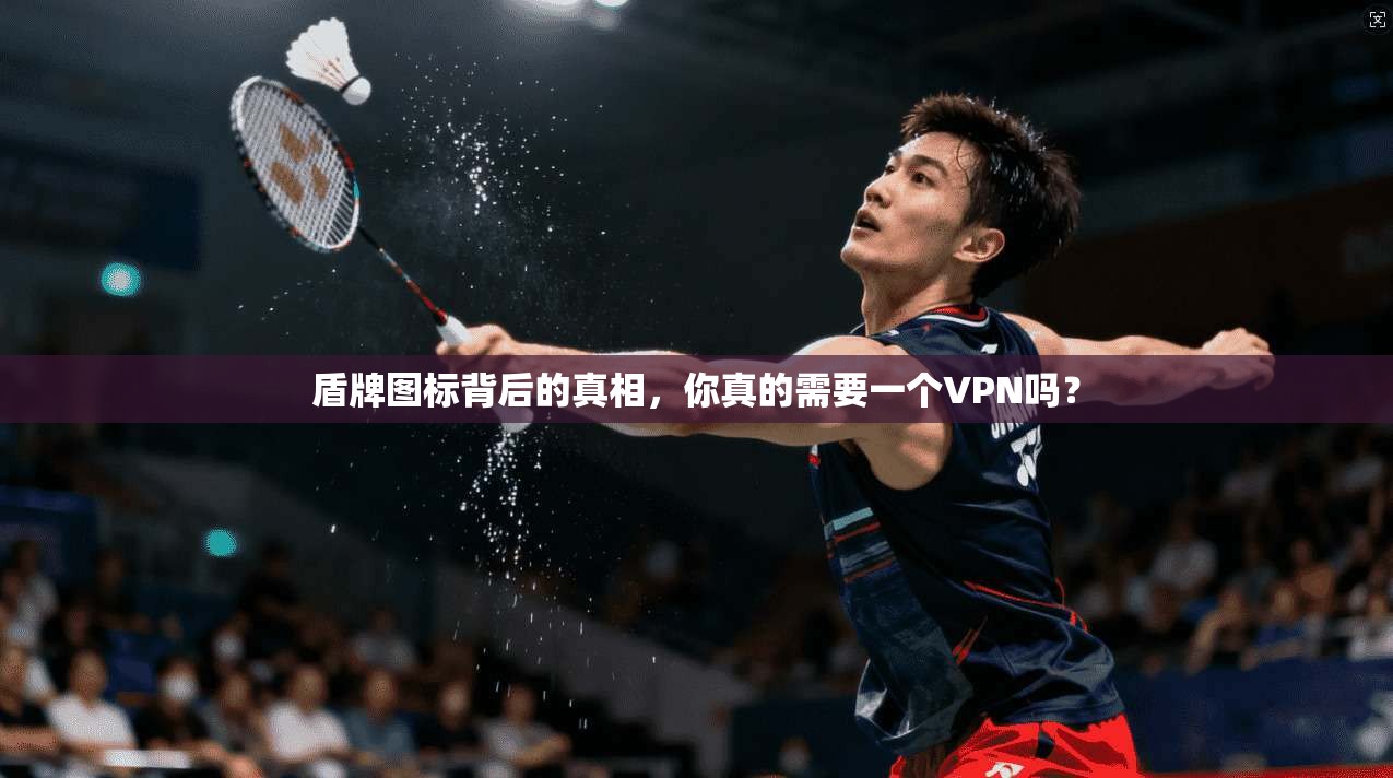 盾牌图标背后的真相，你真的需要一个VPN吗？