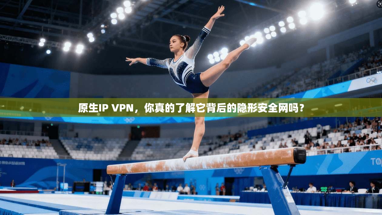 原生IP VPN，你真的了解它背后的隐形安全网吗？