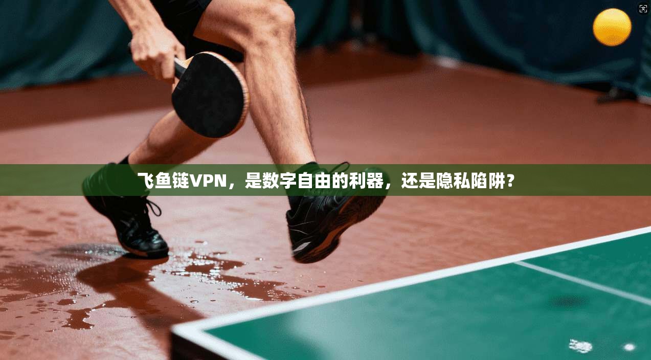 飞鱼链VPN，是数字自由的利器，还是隐私陷阱？