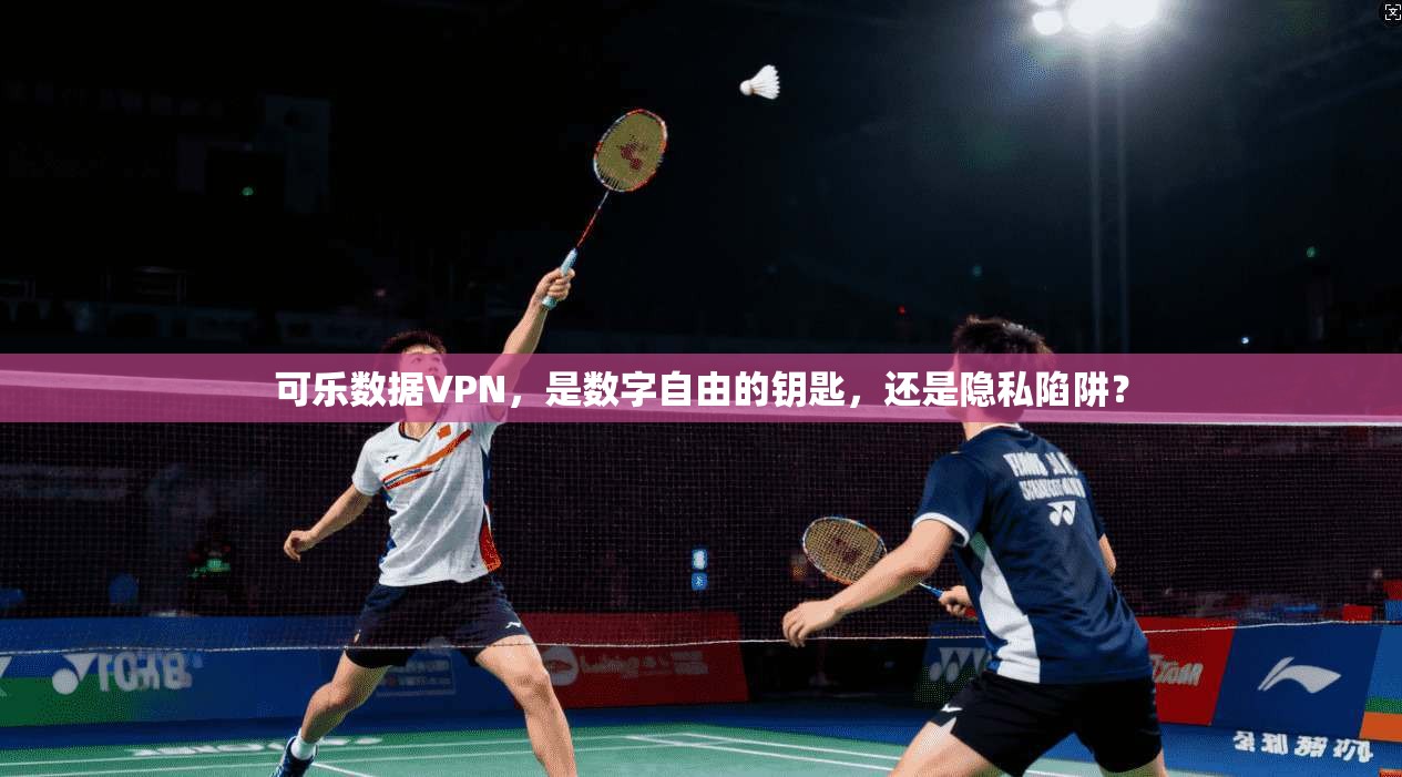 可乐数据VPN,是数字自由的钥匙,还是隐私陷阱?