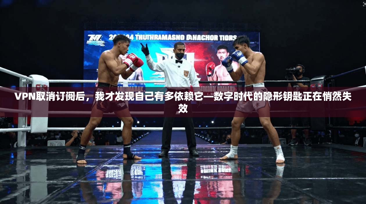 VPN取消订阅后,我才发现自己有多依赖它—数字时代的隐形钥匙正在悄然失效