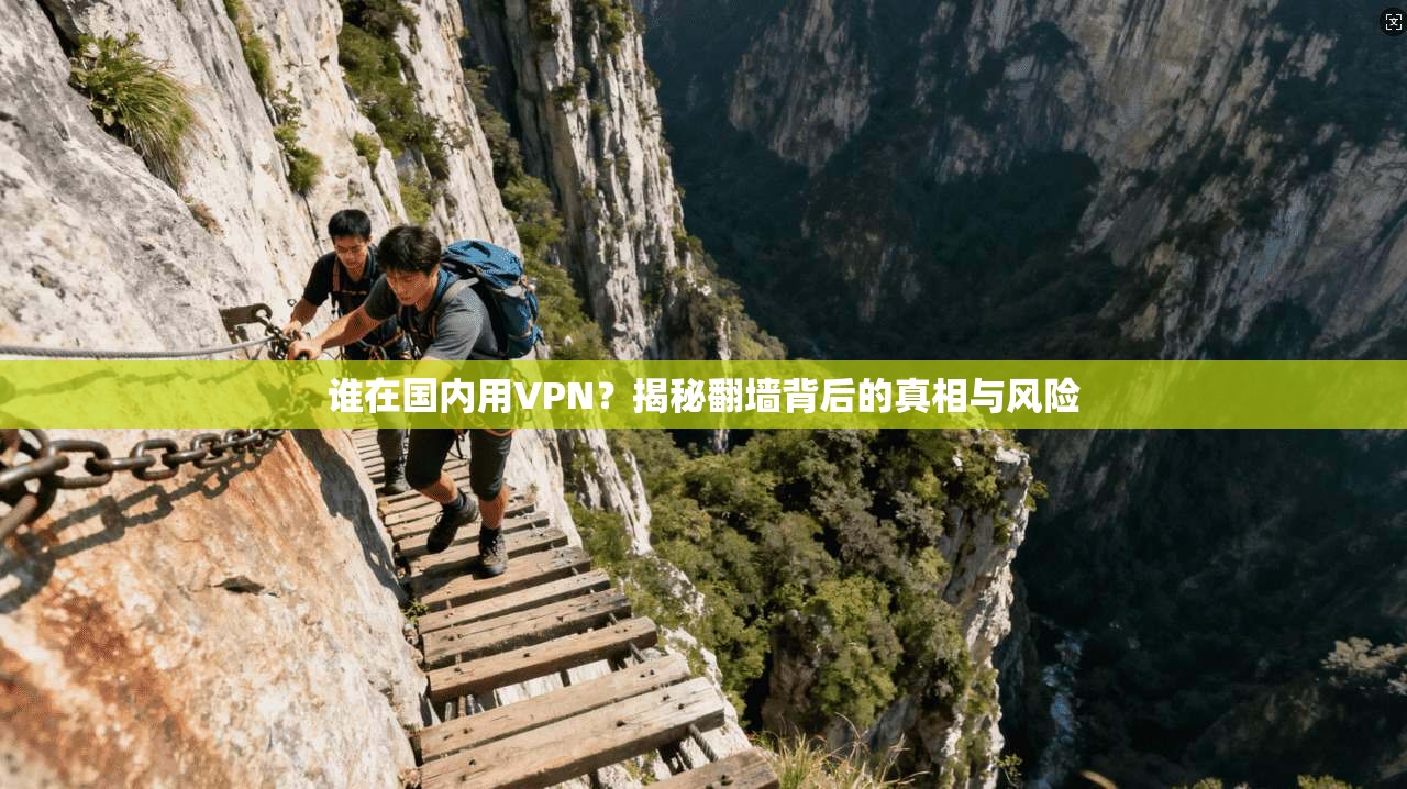 谁在国内用VPN？揭秘翻墙背后的真相与风险