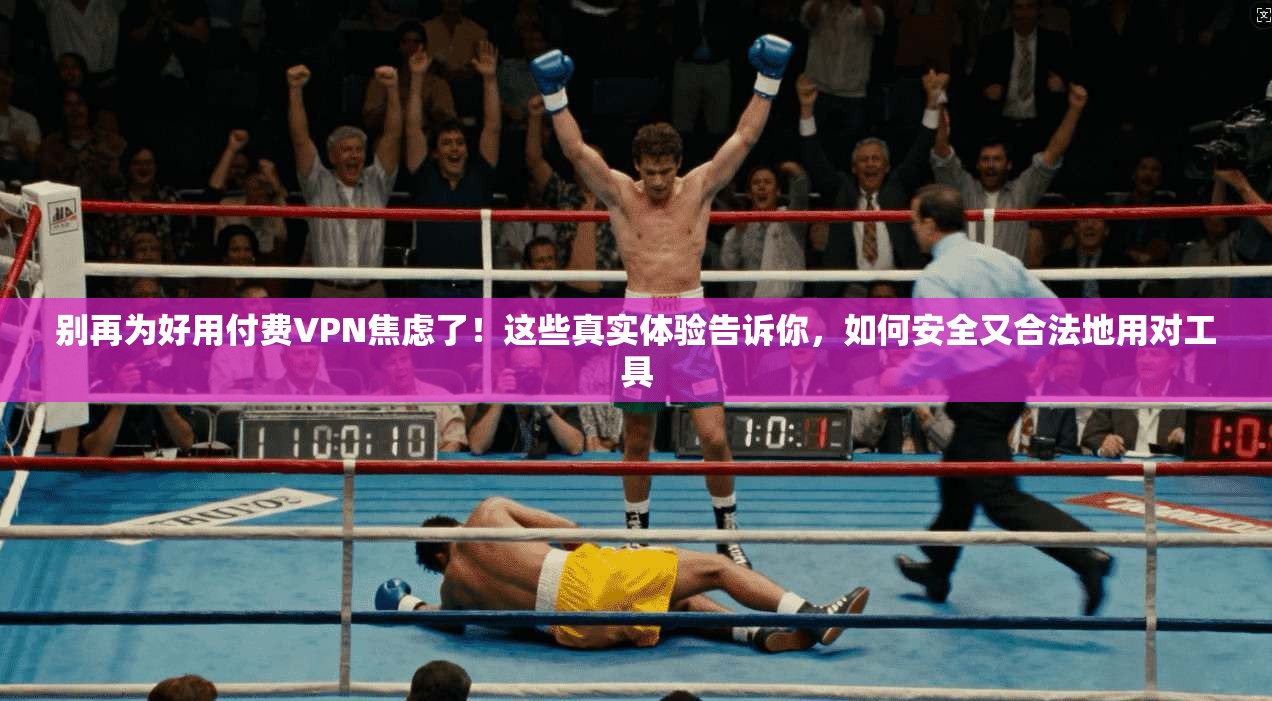 别再为好用付费VPN焦虑了!这些真实体验告诉你,如何安全又合法地用对工具