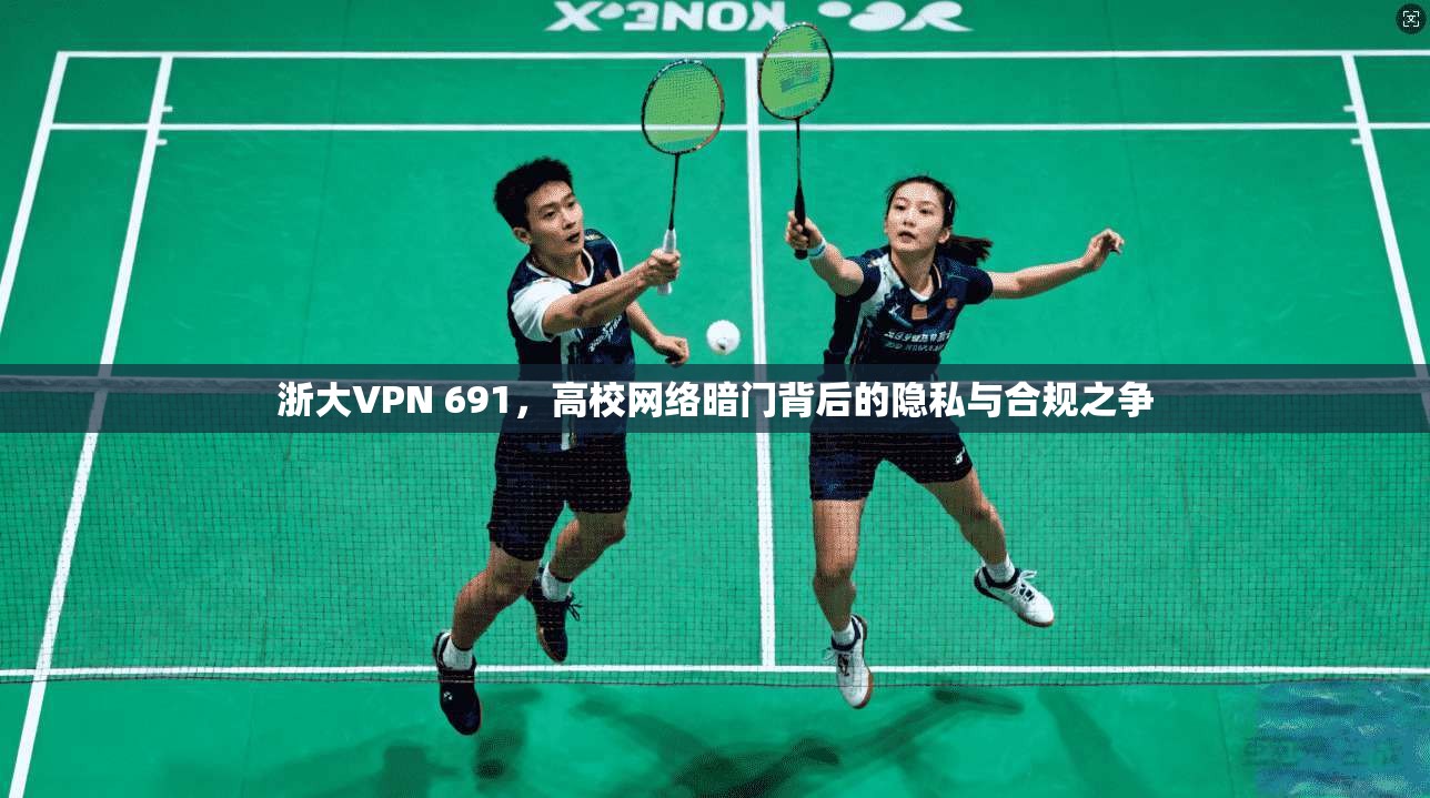 浙大VPN 691，高校网络暗门背后的隐私与合规之争