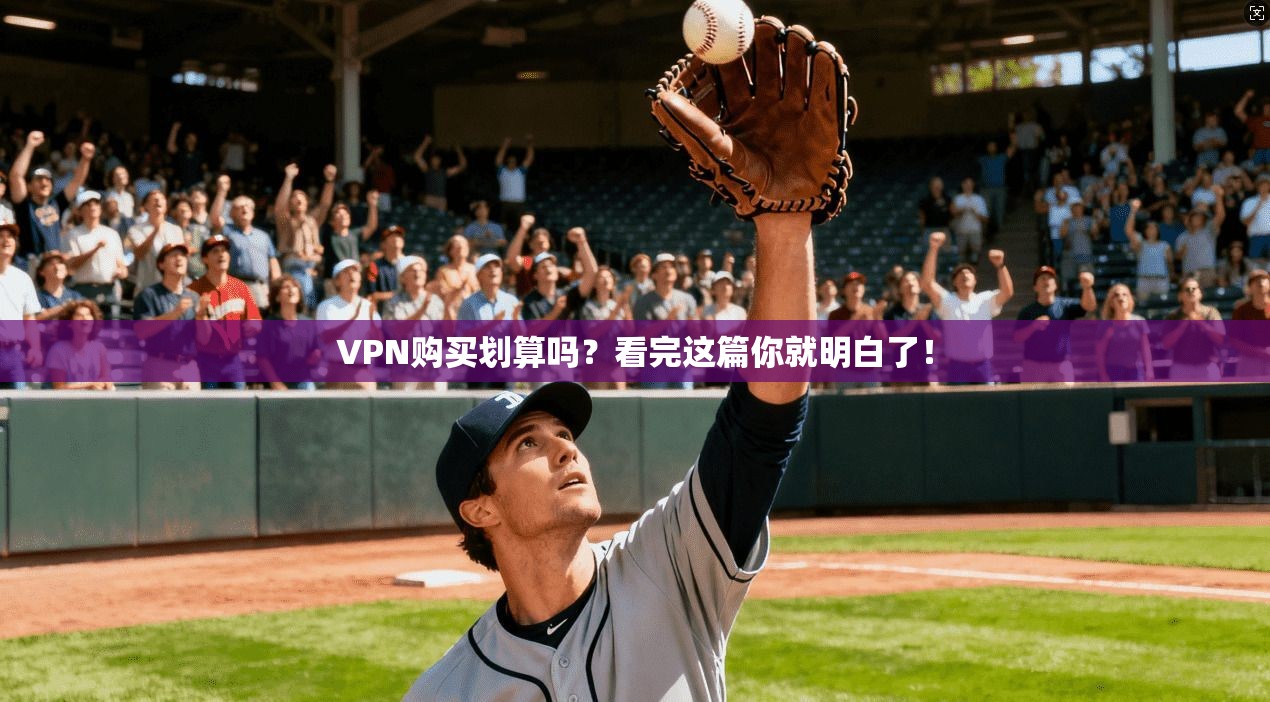 VPN购买划算吗?看完这篇你就明白了!