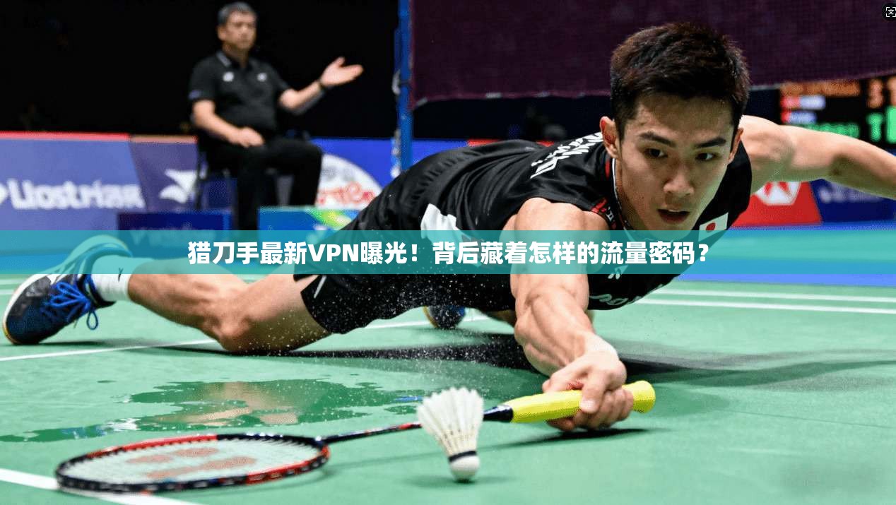 猎刀手最新VPN曝光!背后藏着怎样的流量密码?