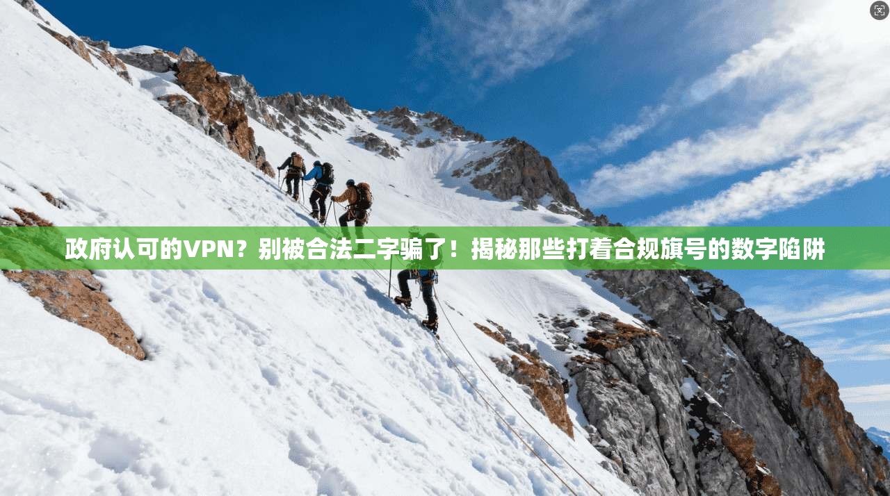 政府认可的VPN？别被合法二字骗了！揭秘那些打着合规旗号的数字陷阱