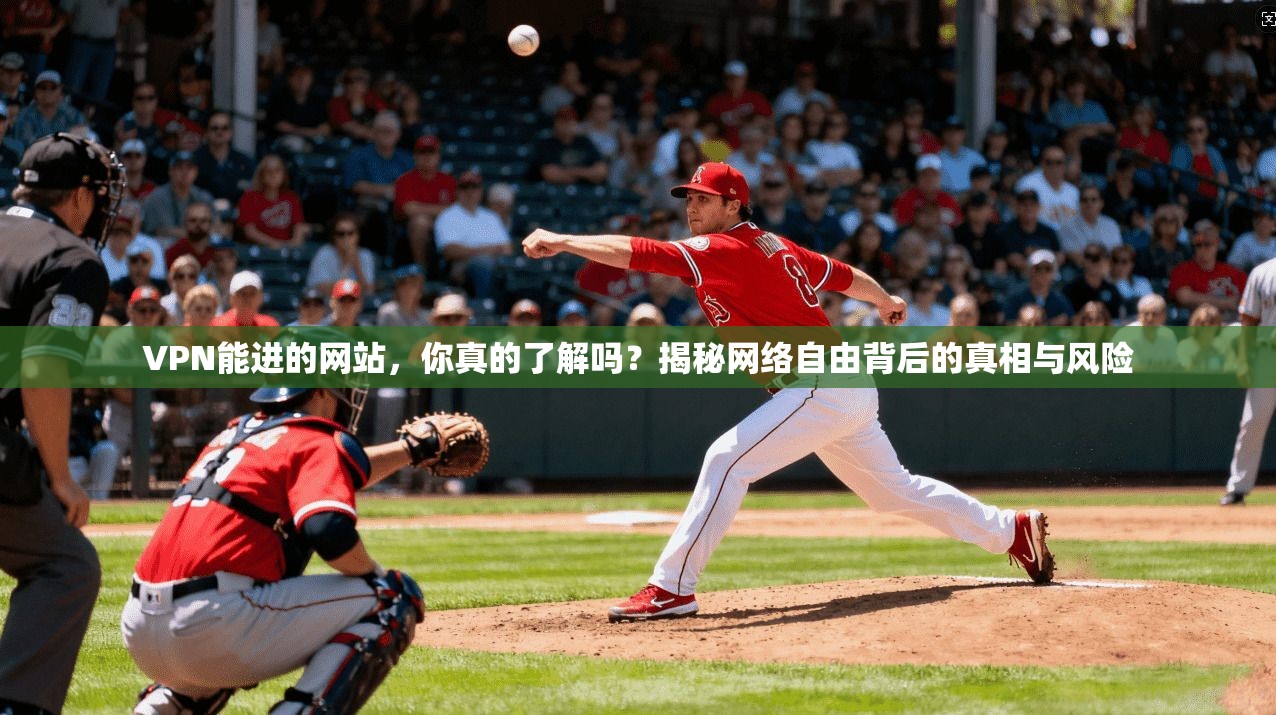 VPN能进的网站，你真的了解吗？揭秘网络自由背后的真相与风险