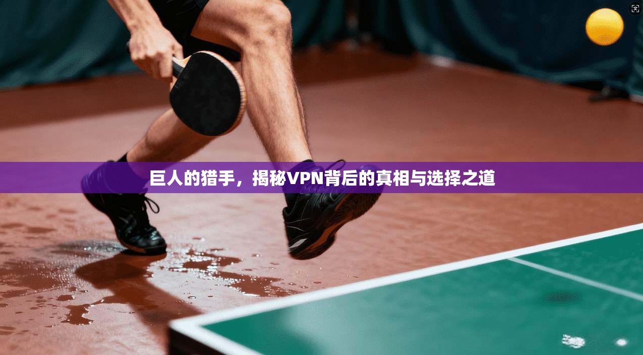 巨人的猎手，揭秘VPN背后的真相与选择之道