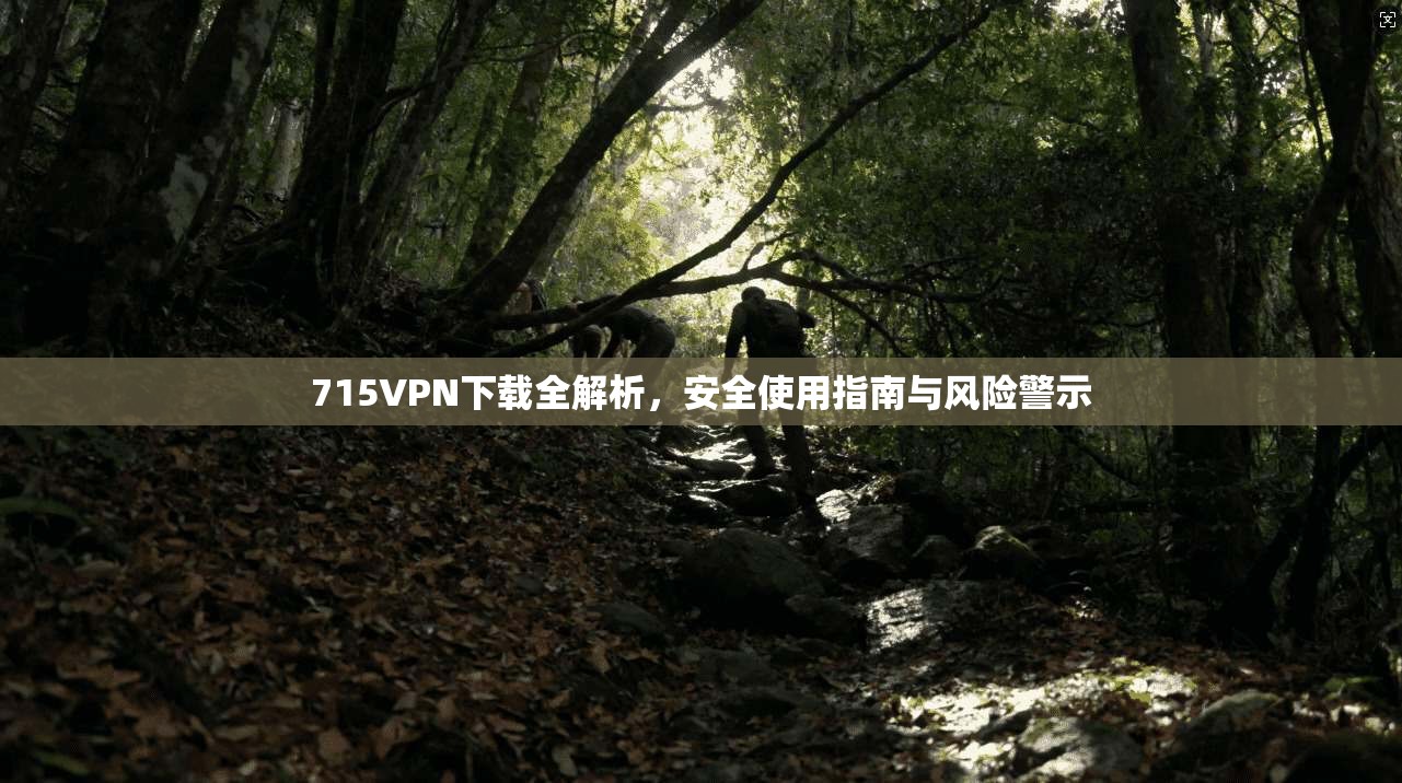 715VPN下载全解析,安全使用指南与风险警示