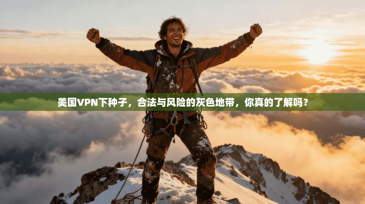美国VPN下种子，合法与风险的灰色地带，你真的了解吗？
