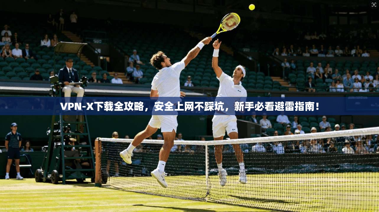 VPN-X下载全攻略，安全上网不踩坑，新手必看避雷指南！