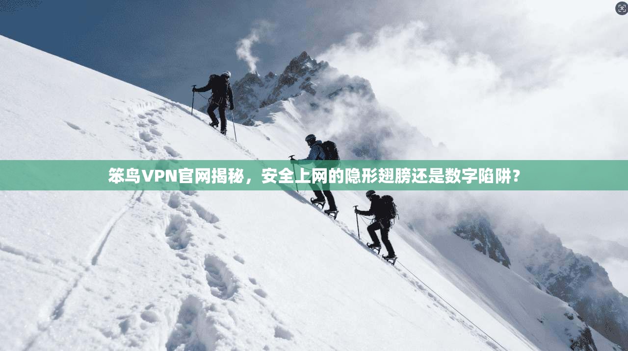 笨鸟VPN官网揭秘,安全上网的隐形翅膀还是数字陷阱?