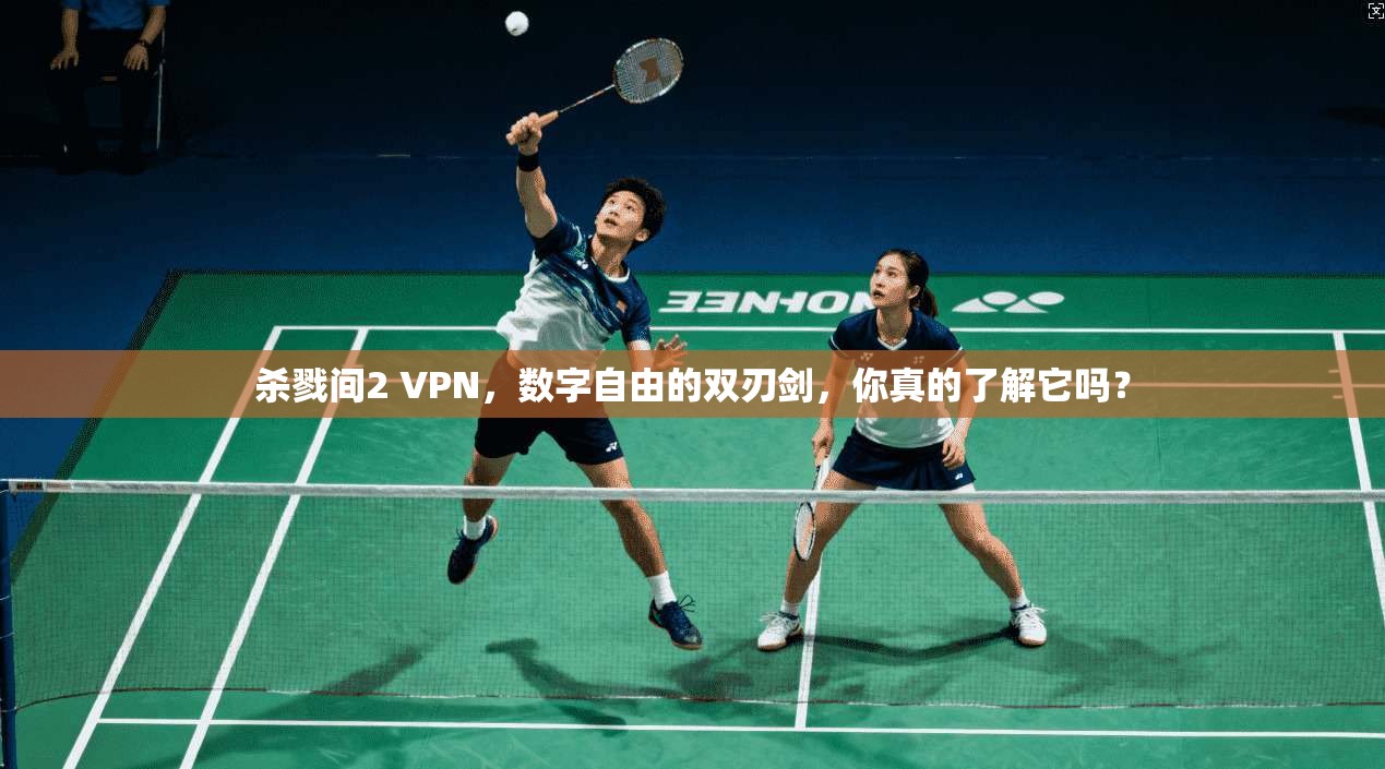 杀戮间2 VPN，数字自由的双刃剑，你真的了解它吗？