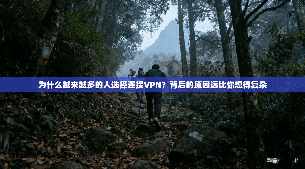 为什么越来越多的人选择连接VPN？背后的原因远比你想得复杂