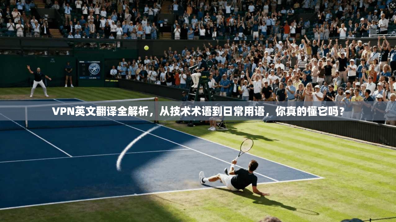 VPN英文翻译全解析,从技术术语到日常用语,你真的懂它吗?