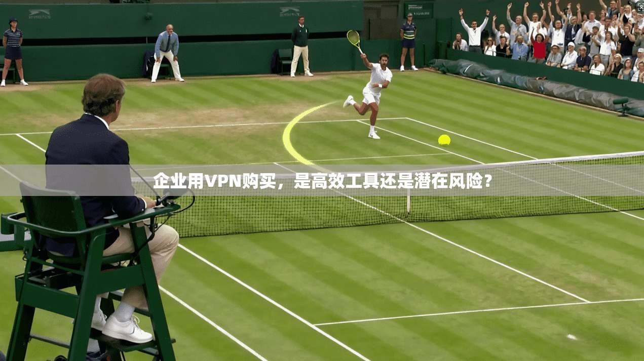 企业用VPN购买,是高效工具还是潜在风险?